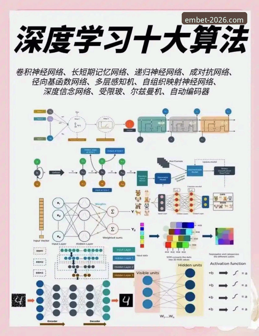 易倍流畅体验 老用户亲测:7个让易倍流畅体验翻倍的实用技巧